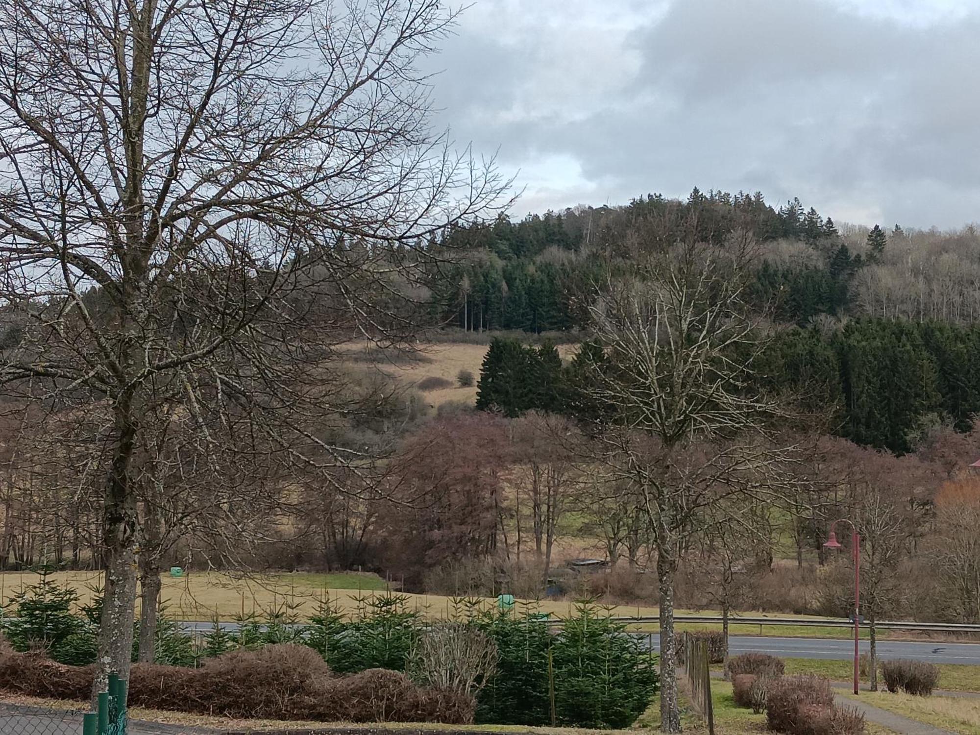 Ferienwohnung Schwarzenbergblick ケルベルク エクステリア 写真